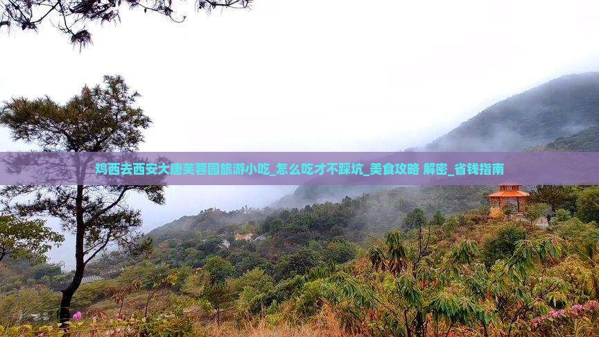鸡西去西安大唐芙蓉园旅游小吃