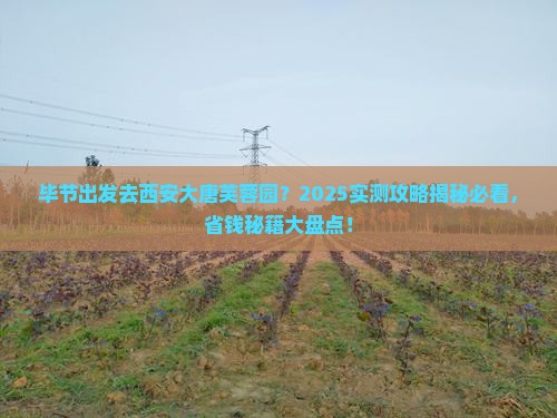 毕节去西安大唐芙蓉园哪里玩