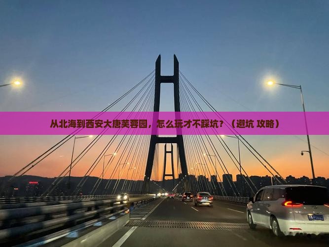 北海去西安大唐芙蓉园门票