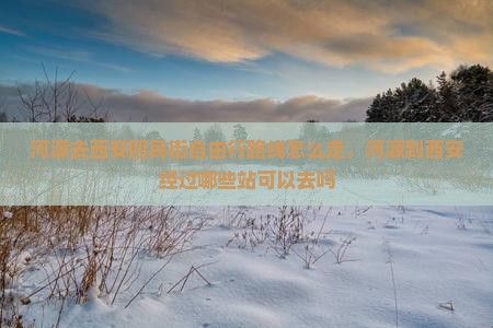 河源去西安回民街自由行