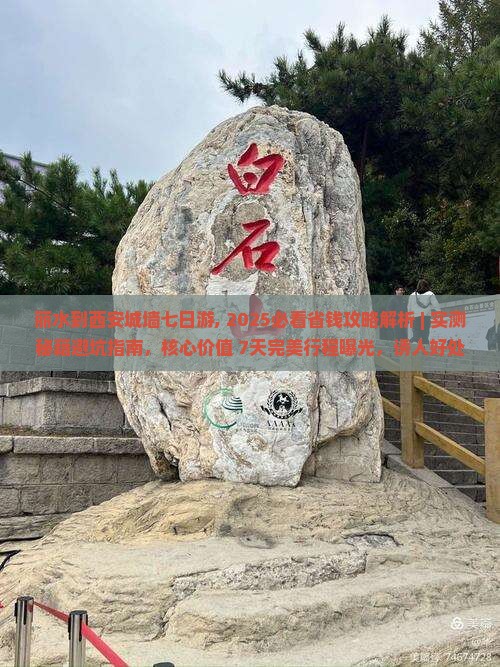 丽水到西安城墙七日游