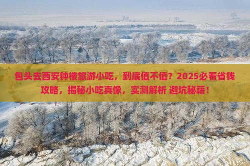 包头去西安钟楼旅游小吃