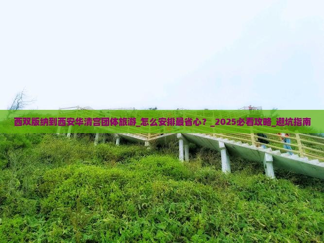 西双版纳到西安华清宫团体旅游