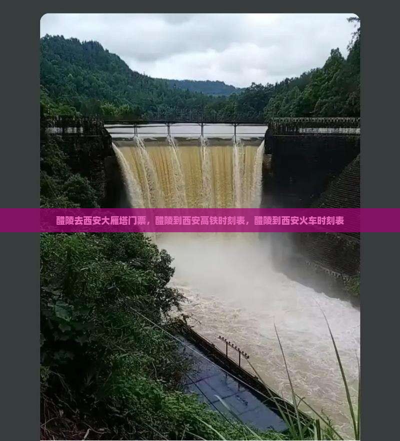 醴陵去西安大雁塔门票