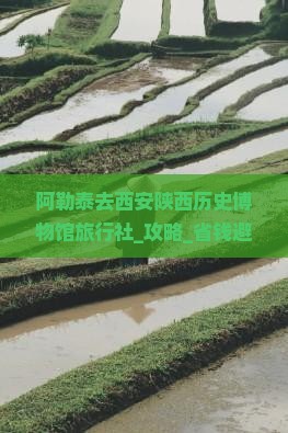 阿勒泰去西安陕西历史博物馆旅行社