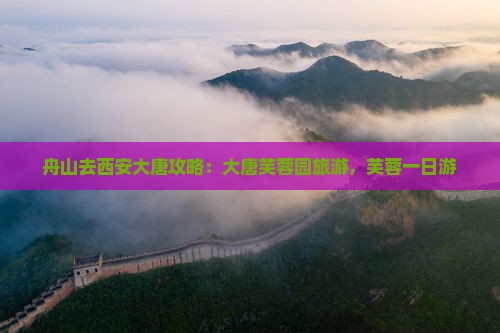 舟山去西安大唐芙蓉园一日游
