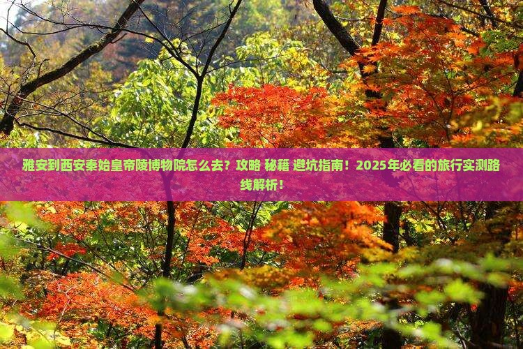 雅安到西安秦始皇帝陵博物院必去地