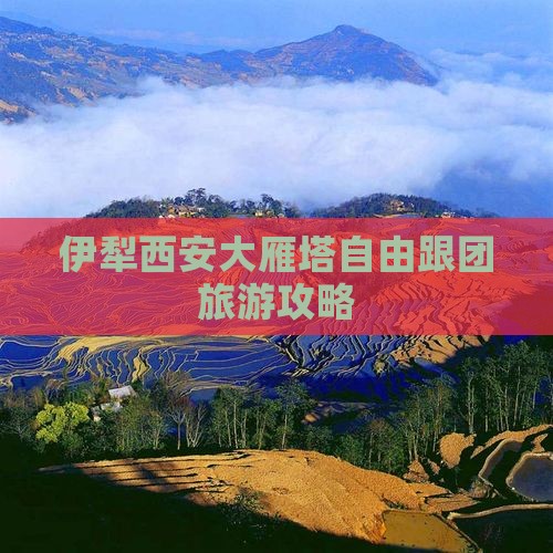 伊犁哈萨克去西安大雁塔自由团