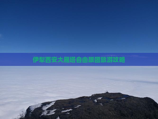 伊犁哈萨克去西安大雁塔自由团