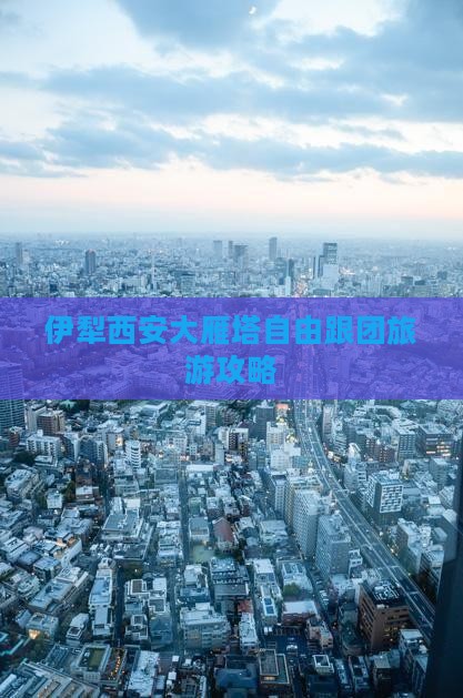 伊犁哈萨克去西安大雁塔自由团