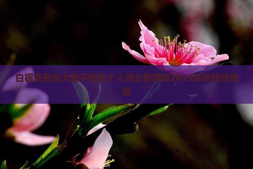 白银去西安大唐不夜城个人游