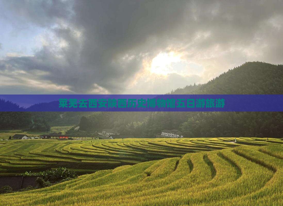 莱芜去西安陕西历史博物馆五日游