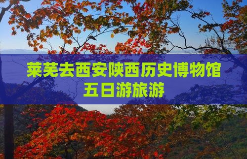 莱芜去西安陕西历史博物馆五日游