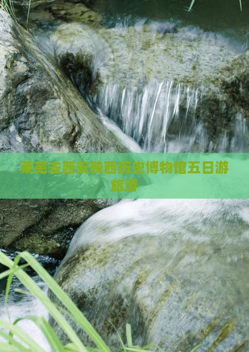 莱芜去西安陕西历史博物馆五日游