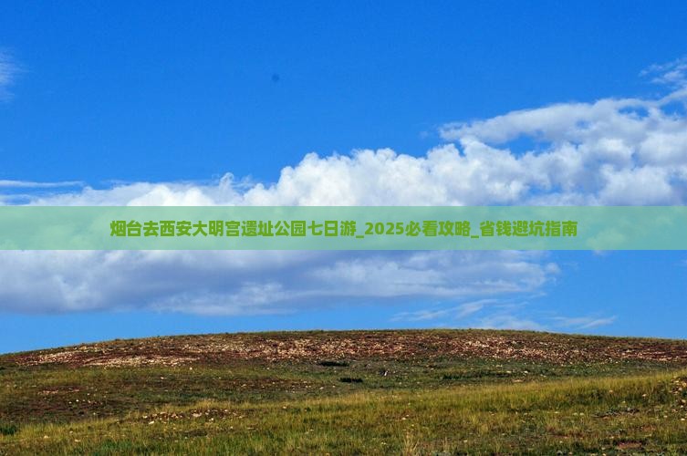 烟台去西安大明宫国家遗址公园七日游