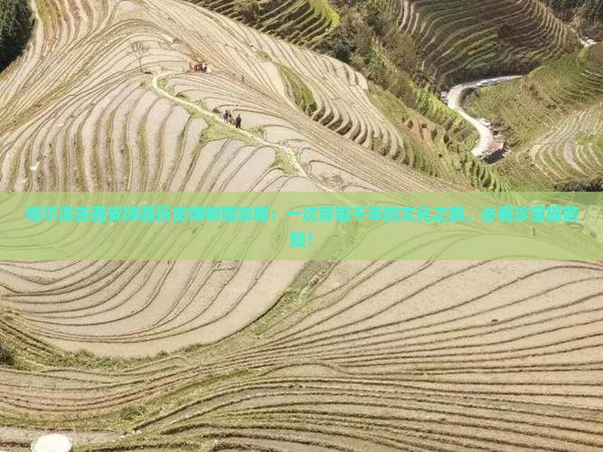 哈尔滨去西安陕西历史博物馆攻略