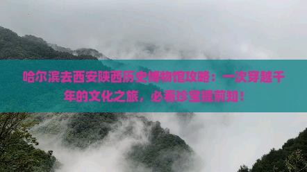 哈尔滨去西安陕西历史博物馆攻略