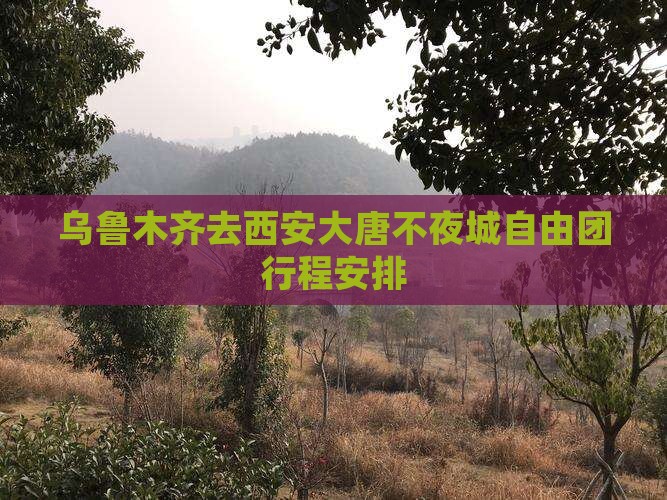 乌鲁木齐去西安大唐不夜城自由团