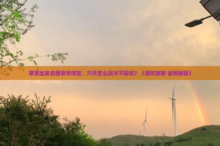 莱芜到西安华清宫六日游