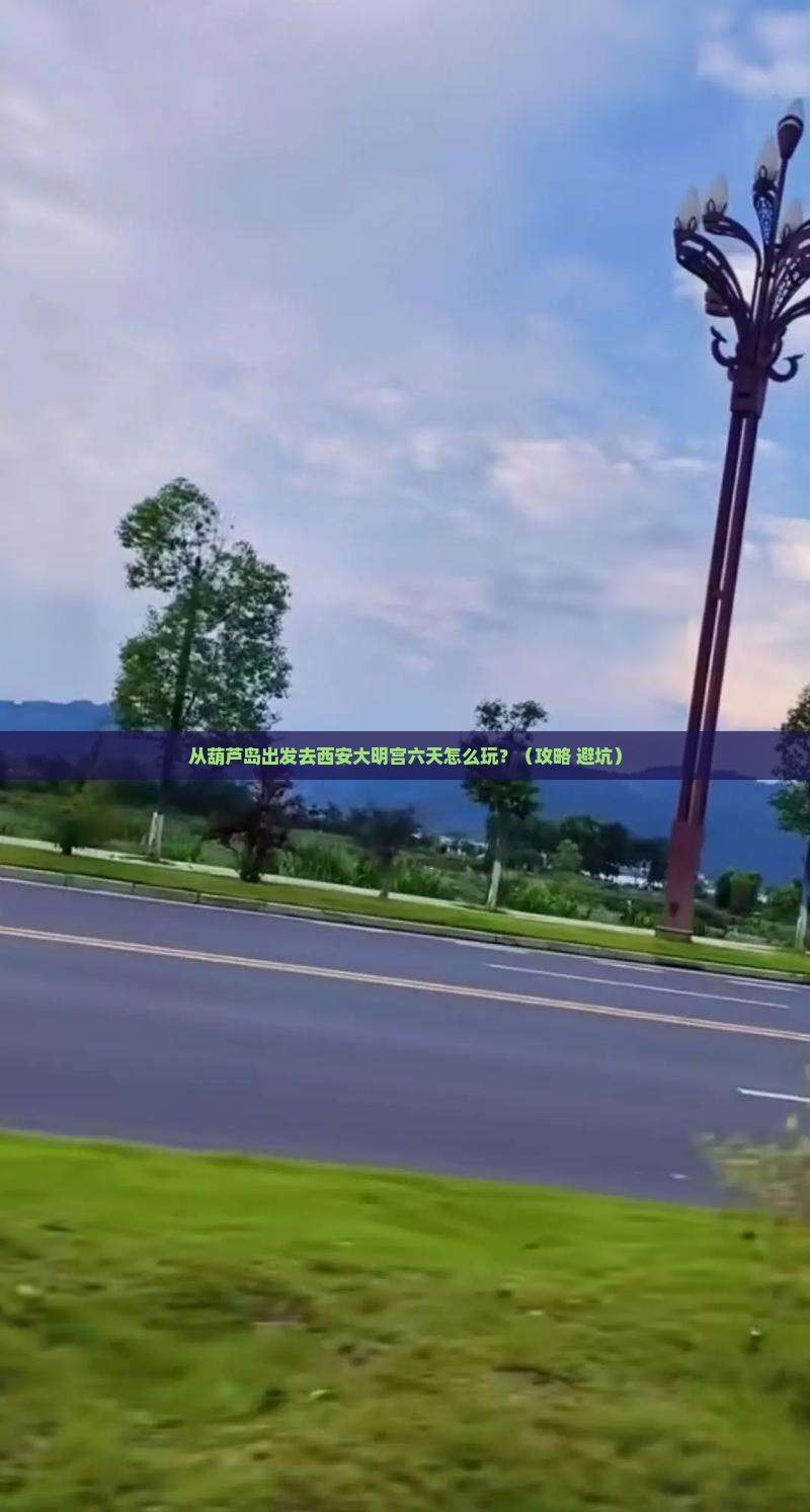 葫芦岛到西安大明宫国家遗址公园六日游