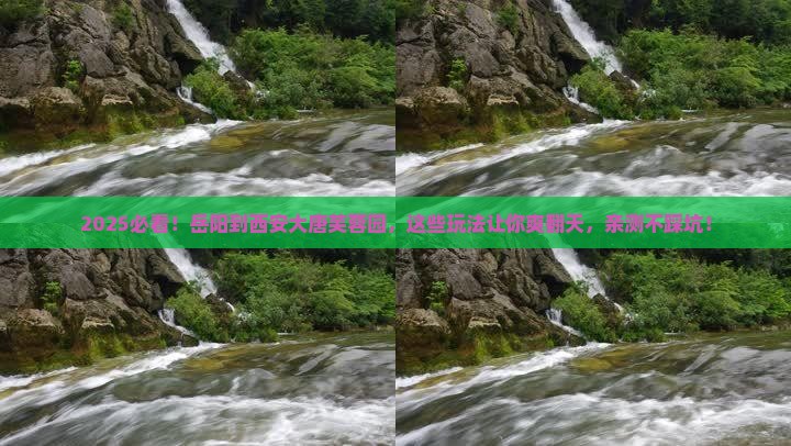 岳阳到西安大唐芙蓉园哪里玩