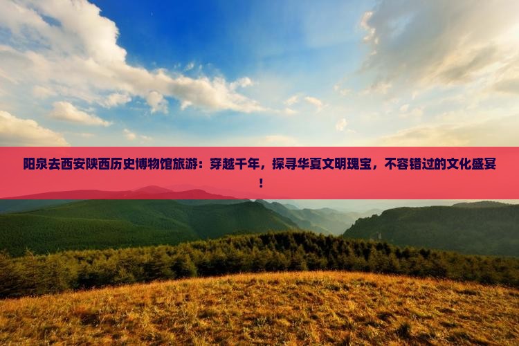 阳泉去西安陕西历史博物馆旅游
