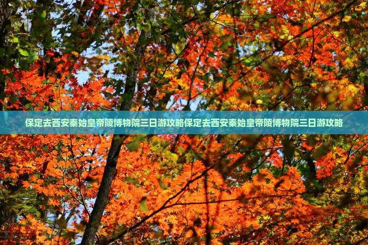保定去西安秦始皇帝陵博物院三日游