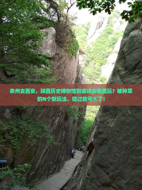 泰州去西安陕西历史博物馆哪里玩
