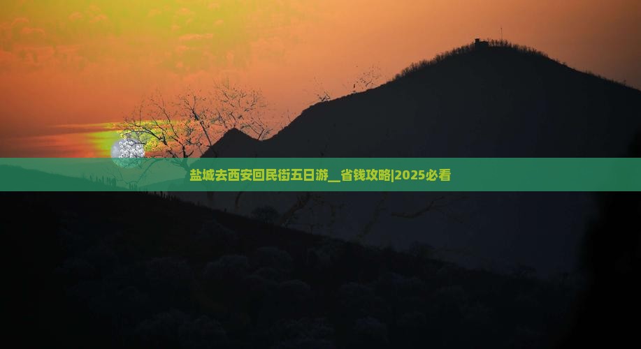 盐城去西安回民街五日游