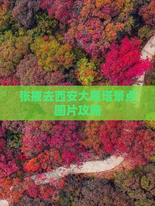 张掖去西安大雁塔景点