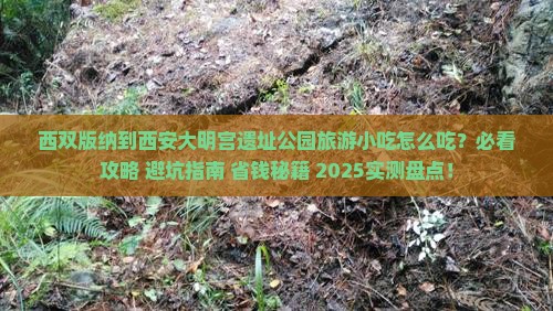 西双版纳到西安大明宫国家遗址公园旅游小吃