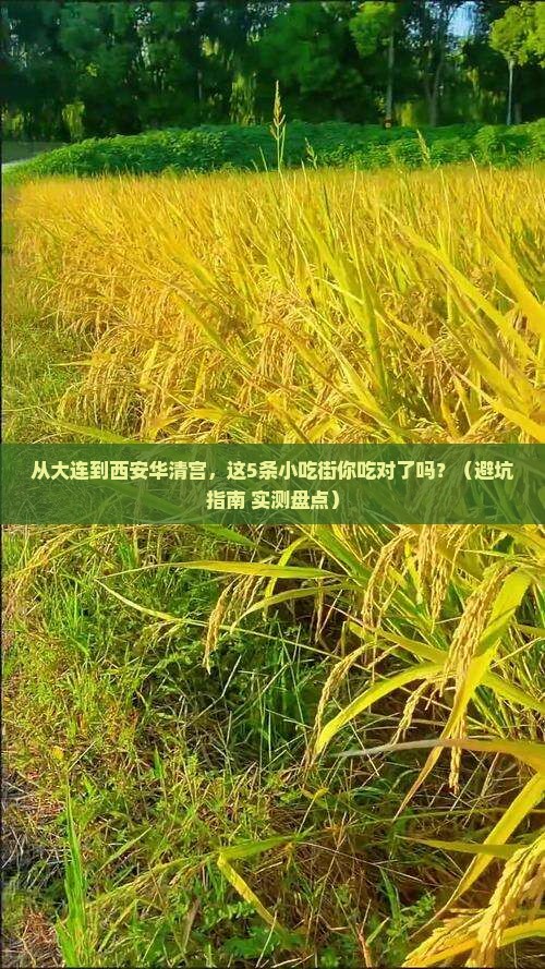 大连到西安华清宫旅游小吃