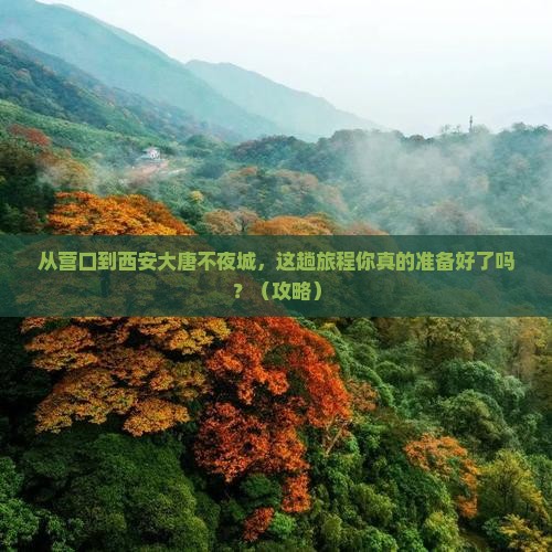 营口去西安大唐不夜城旅游
