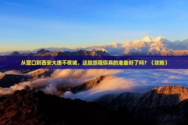 营口去西安大唐不夜城旅游
