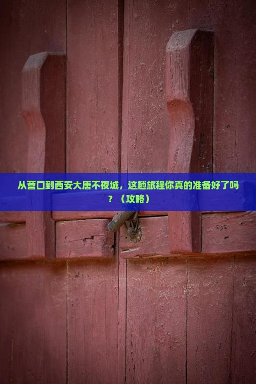 营口去西安大唐不夜城旅游