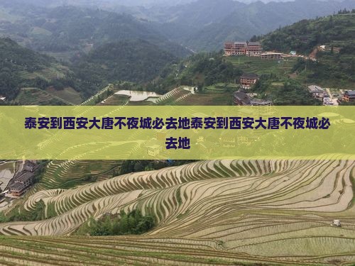 泰安到西安大唐不夜城必去地