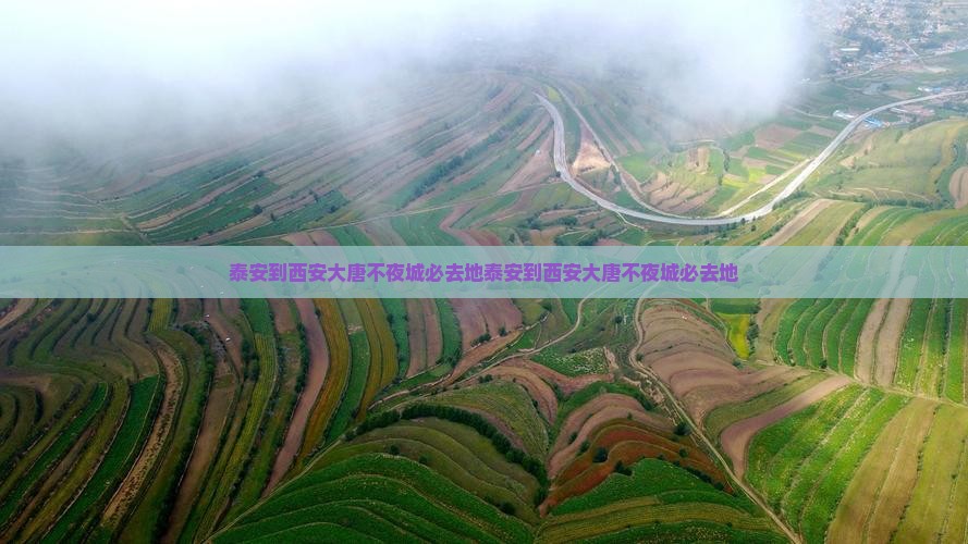 泰安到西安大唐不夜城必去地