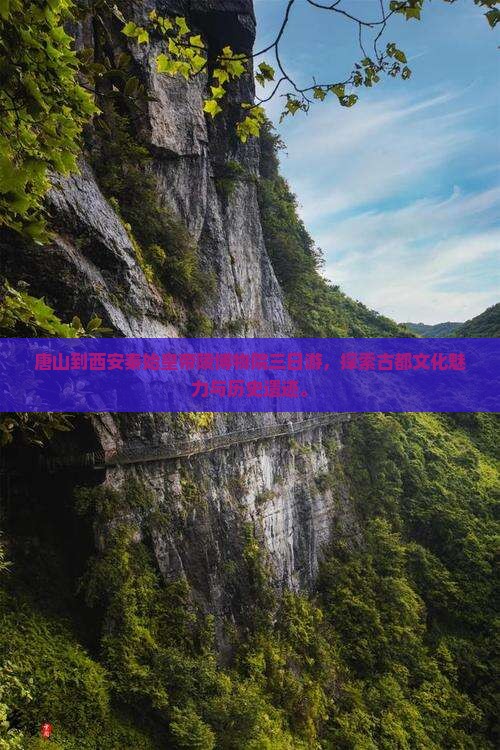 唐山到西安秦始皇帝陵博物院三日游