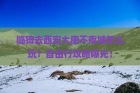 临猗去西安大唐不夜城自由行