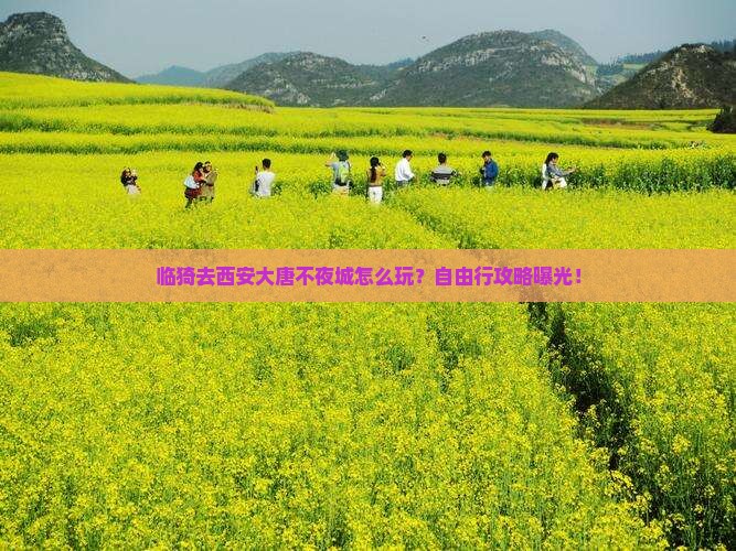 临猗去西安大唐不夜城自由行