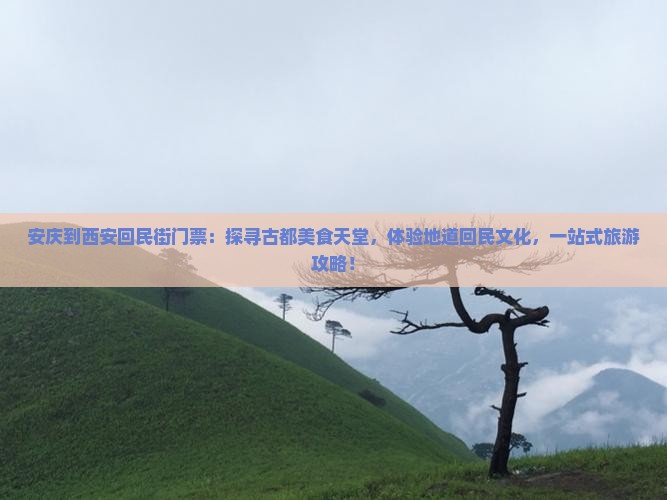 安庆到西安回民街门票