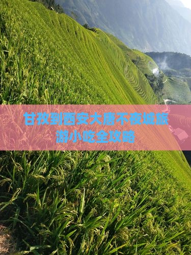甘孜到西安大唐不夜城旅游小吃