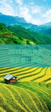 烟台去西安陕西历史博物馆旅行社