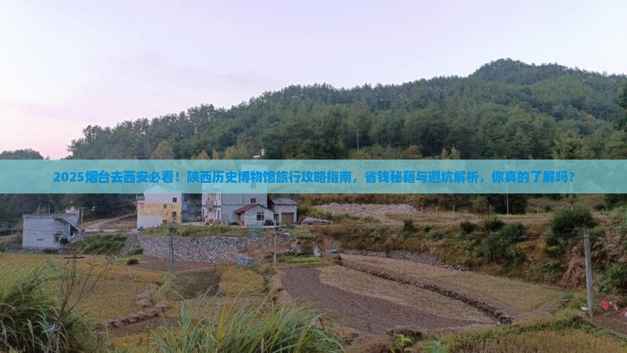 烟台去西安陕西历史博物馆旅行社