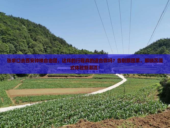 张家口去西安钟楼自由团
