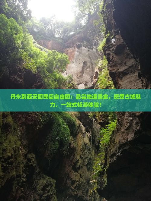 丹东到西安回民街自由团
