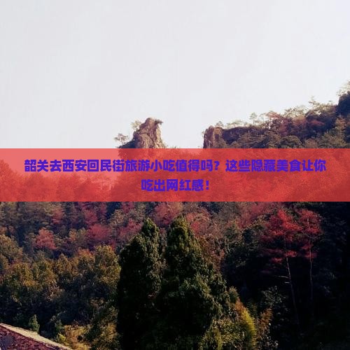 韶关去西安回民街旅游小吃