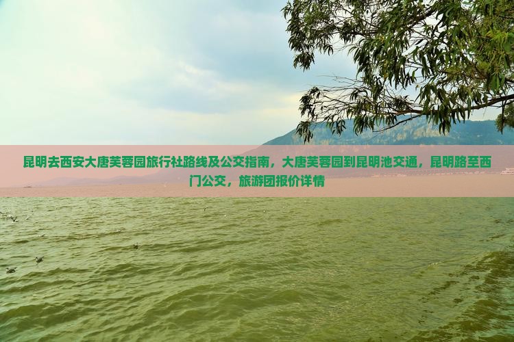 昆明去西安大唐芙蓉园旅行社
