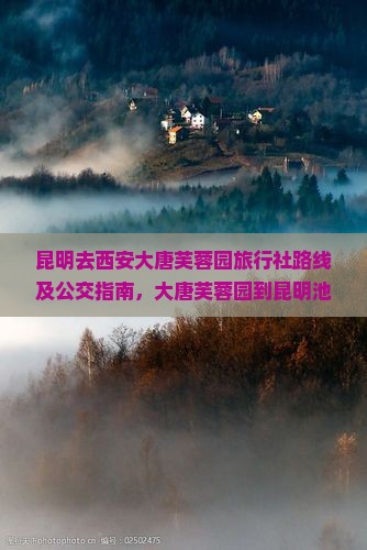 昆明去西安大唐芙蓉园旅行社