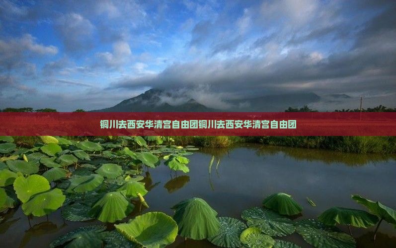 铜川去西安华清宫自由团